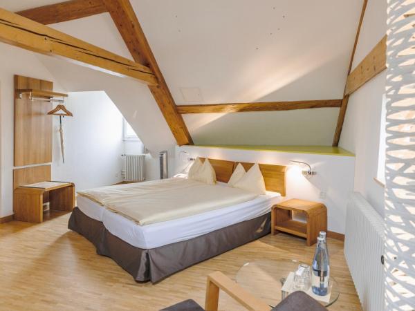 ODELYA Hotel & Naturgarten Basel City : photo 6 de la chambre chambre familiale