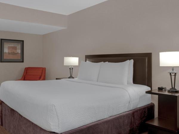 Ramada Plaza by Wyndham Calgary Downtown : photo 5 de la chambre suite lit king-size avec jacuzzi - non-fumeurs