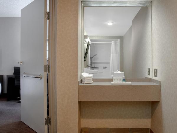 Ramada Plaza by Wyndham Calgary Downtown : photo 7 de la chambre chambre avec 2 lits doubles - accessible aux personnes à mobilité réduite/non-fumeurs