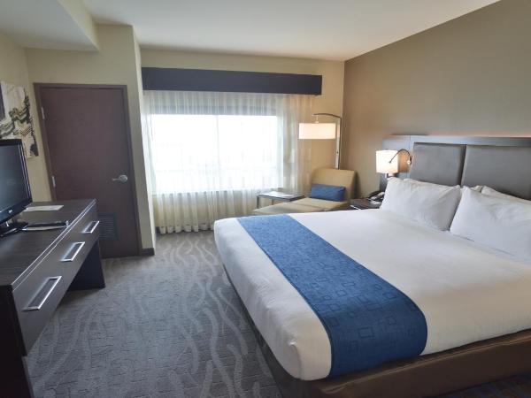 Holiday Inn Hotel & Suites Northwest San Antonio, an IHG Hotel : photo 1 de la chambre suite 1 chambre lit king-size