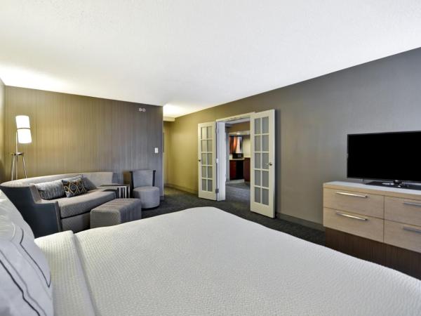 Courtyard Houston I-10 West/Energy Corridor : photo 1 de la chambre suite lit king-size avec canapé-lit