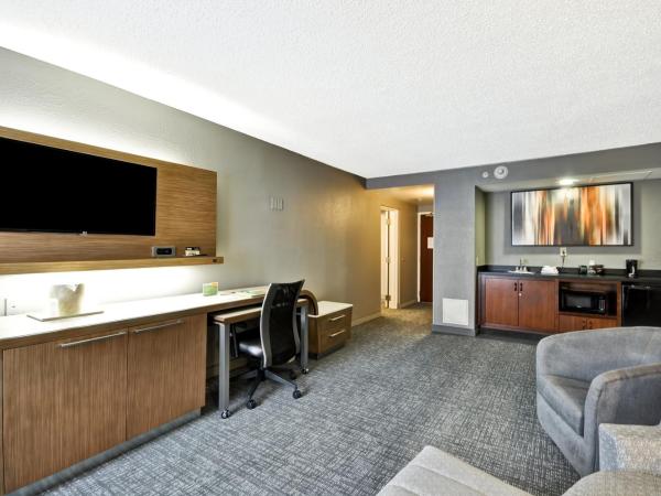 Courtyard Houston I-10 West/Energy Corridor : photo 1 de la chambre suite 1 chambre exécutive lit queen-size