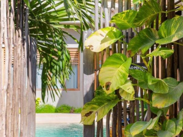 Hostal Doña Lucha : photo 3 de la chambre chambre double avec salle de bains privative