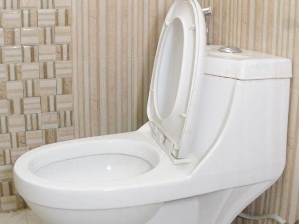 Hotel Brihaspati : photo 2 de la chambre chambre triple deluxe