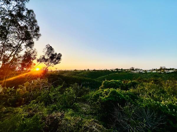 Canyon Breeze - Private Home with Hot Tub & Views : photo 10 de la chambre maison 3 chambres