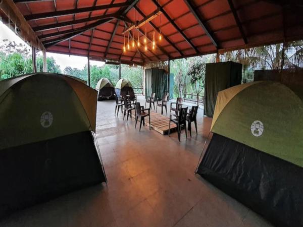 Aranyagiri Countryside Resort, Near Pune : photo 3 de la chambre camping tents with mango orchard view