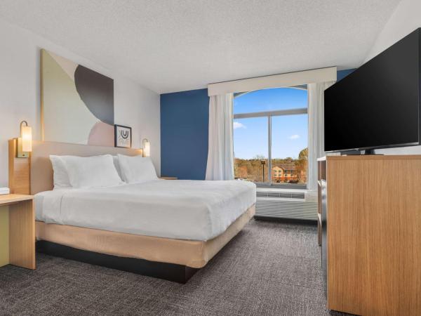 Spark By Hilton Charlotte Tyvola I-77 : photo 1 de la chambre chambre lit king-size avec canapé-lit - non-fumeurs