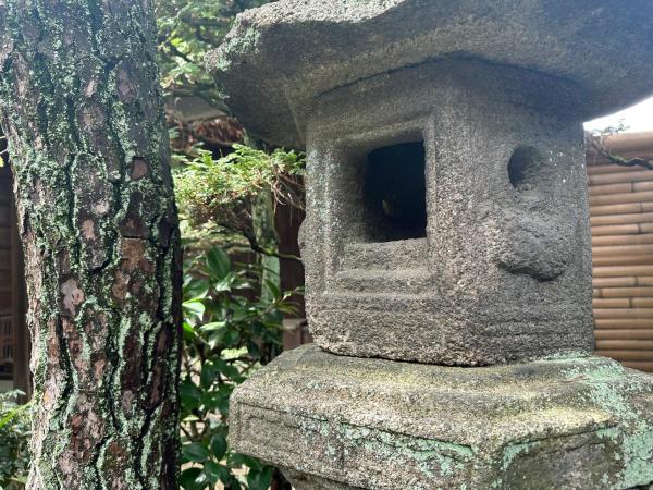 町宿枩邑 まつむら : photo 8 de la chambre chambre familiale avec terrasse 