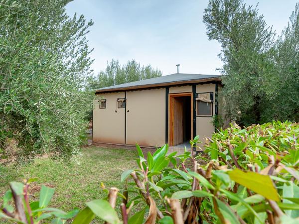 Ferme Sidi Safou & Spa : photo 1 de la chambre bungalow deluxe 