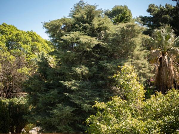 Hotel Parco delle Fontane : photo 8 de la chambre chambre double avec terrasse