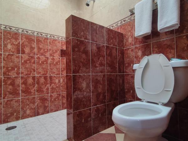 Auto Hotel Estrella del Sur : photo 4 de la chambre chambre double standard avec 2 lits doubles
