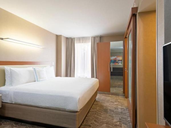 SpringHill Suites Louisville Downtown : photo 1 de la chambre suite lit king-size avec canapé-lit