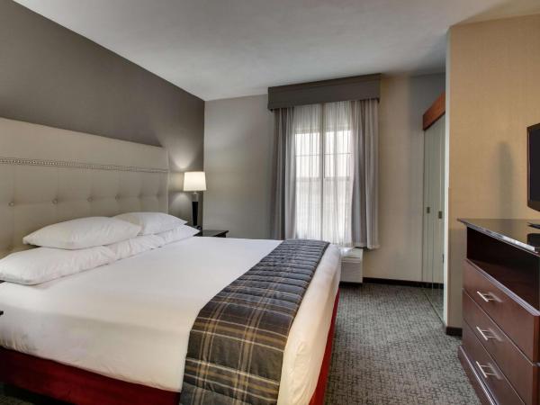 Drury Inn & Suites San Antonio Northwest Medical Center : photo 3 de la chambre suite lit king-size avec canapé-lit