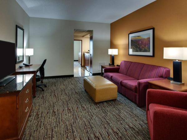 Drury Inn & Suites Charlotte Northlake : photo 1 de la chambre suite lit king-size avec canapé-lit
