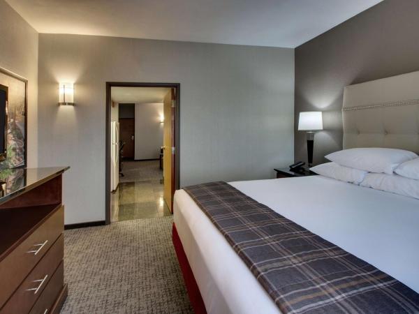 Drury Inn & Suites San Antonio Northwest Medical Center : photo 4 de la chambre suite lit king-size avec canapé-lit