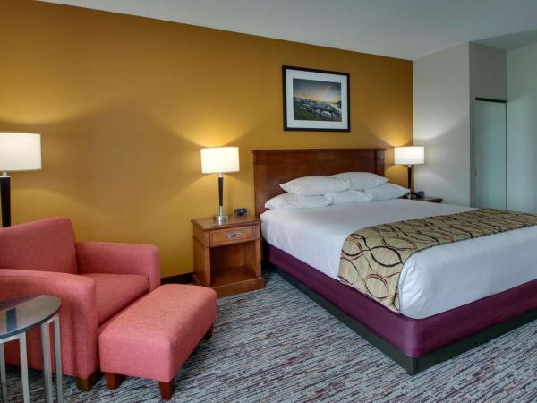 Drury Inn & Suites Charlotte Northlake : photo 7 de la chambre chambre lit king-size deluxe avec baignoire spa