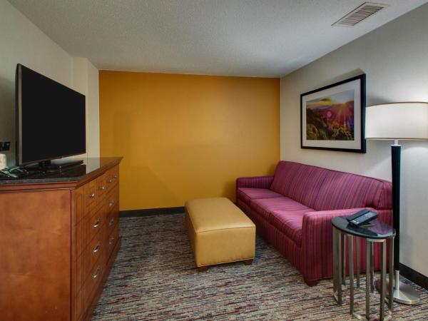 Drury Inn & Suites Charlotte Northlake : photo 1 de la chambre chambre lit king-size deluxe avec canapé-lit