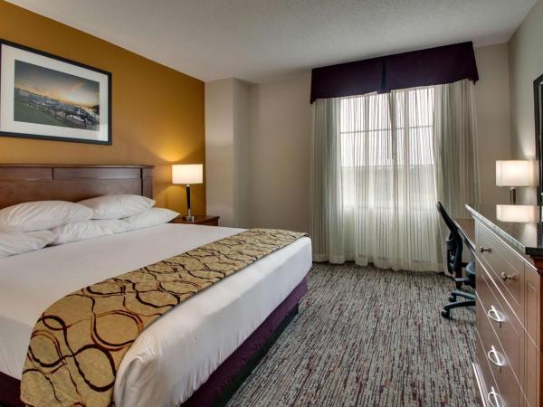 Drury Inn & Suites Charlotte Northlake : photo 2 de la chambre chambre lit king-size deluxe avec canapé-lit