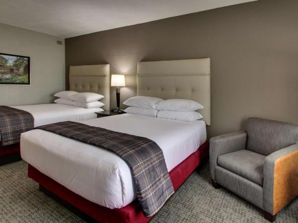 Drury Inn & Suites San Antonio Northwest Medical Center : photo 3 de la chambre chambre deluxe avec 2 lits queen-size