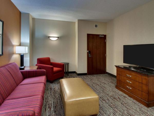 Drury Inn & Suites Charlotte Northlake : photo 7 de la chambre suite lit queen-size avec canapé-lit