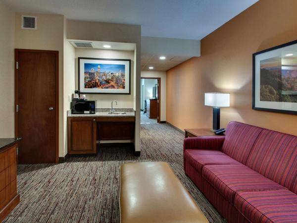 Drury Inn & Suites Charlotte Northlake : photo 6 de la chambre suite lit queen-size avec canapé-lit