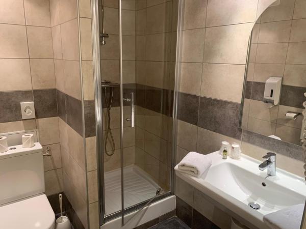 Logis Hotel-Restaurant Spa Le Lac : photo 4 de la chambre chambre double - rez-de-chaussée - côté rue