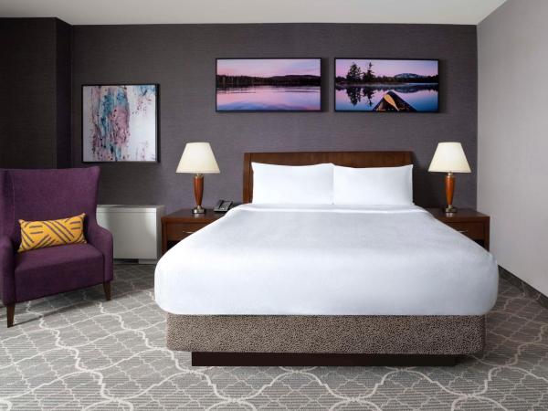 Hilton Garden Inn Calgary Airport : photo 2 de la chambre chambre lit king-size