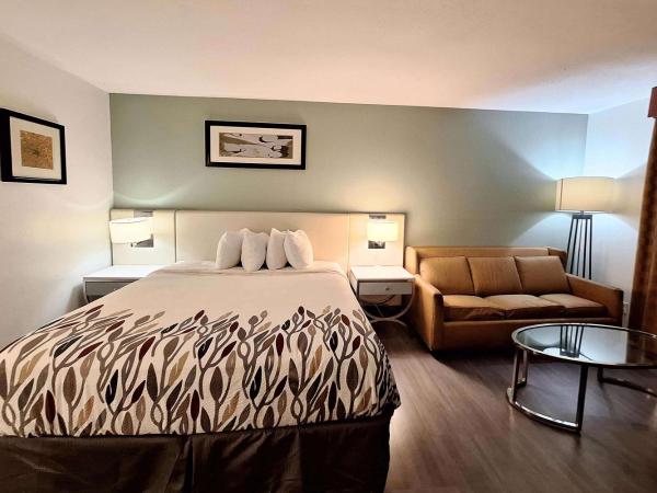 Travelodge by Wyndham Indianapolis Speedway : photo 1 de la chambre chambre lit king-size avec vue sur le lac - non-fumeurs