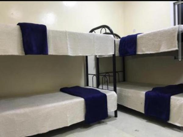 Backpackers Hostel : photo 1 de la chambre dortoir mixte de 8 lits 