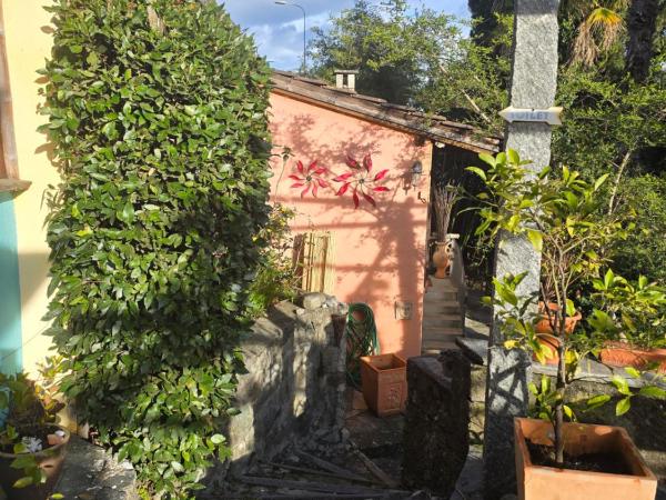 Pensione Olanda : photo 4 de la chambre chambre double avec salle de bains