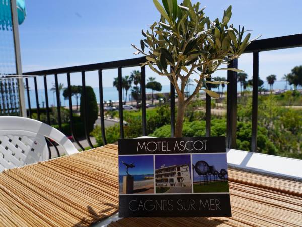MOTEL ASCOT - Hotel & Appartements : photo 7 de la chambre studio - vue sur mer