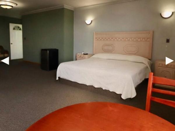 Hotel Real Santa Rosa : photo 4 de la chambre suite