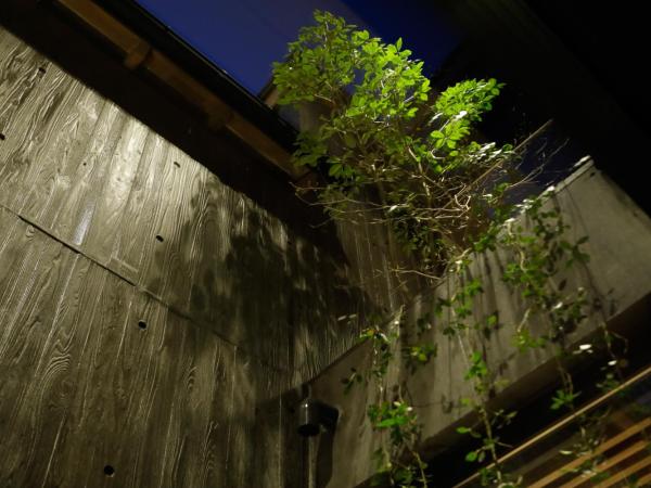 Sowaka : photo 7 de la chambre suite junior avec coin tatami - vue sur jardin (annexe)