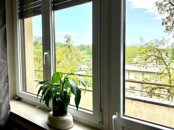 Rue Des Glacis Limpertsberg : photo 6 de la chambre chambre double avec salle de bains commune