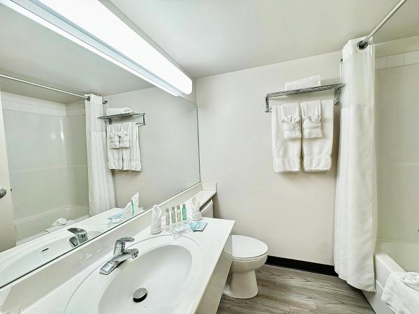 Divya Sutra Plaza and Conference Centre Calgary Airport : photo 2 de la chambre suite familiale