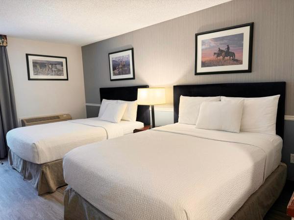 Divya Sutra Plaza and Conference Centre Calgary Airport : photo 3 de la chambre chambre double lit queen-size supérieure 
