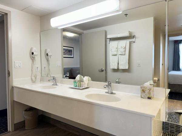 Divya Sutra Plaza and Conference Centre Calgary Airport : photo 3 de la chambre suite plaza