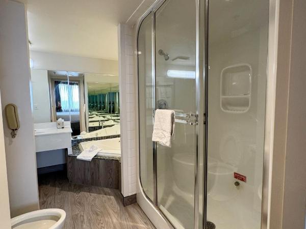 Divya Sutra Plaza and Conference Centre Calgary Airport : photo 5 de la chambre suite plaza