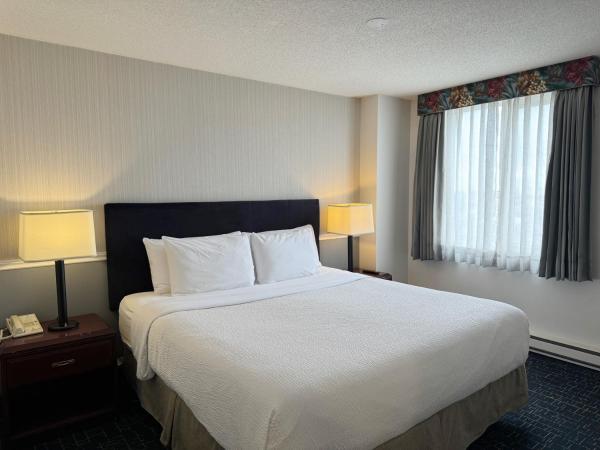 Divya Sutra Plaza and Conference Centre Calgary Airport : photo 7 de la chambre suite plaza