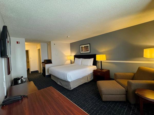 Divya Sutra Plaza and Conference Centre Calgary Airport : photo 8 de la chambre chambre lit king-size supérieure