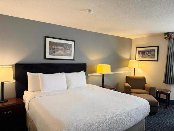 Divya Sutra Plaza and Conference Centre Calgary Airport : photo 7 de la chambre chambre lit king-size supérieure