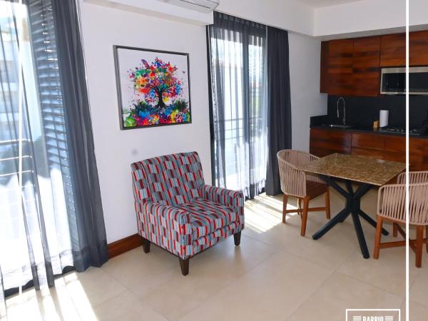 Barrio Vallarta Suites : photo 6 de la chambre suite deluxe avec lit king-size