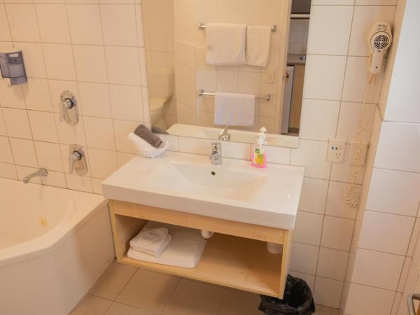 Victoria Court Motor Lodge : photo 3 de la chambre appartement 1 chambre avec baignoire spa