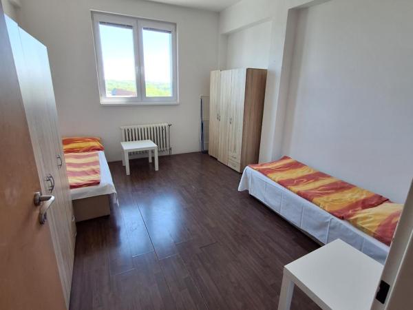 Hotelak Martinov : photo 5 de la chambre apartment with view and balcony