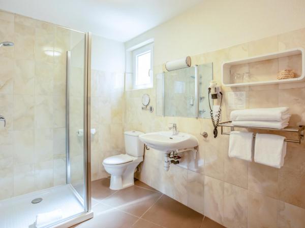 Hotel La Bienvenue : photo 3 de la chambre chambre avec vue sur jardin