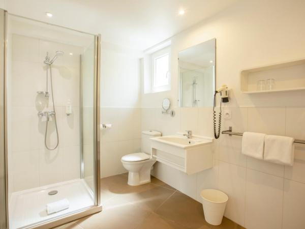 Hotel La Bienvenue : photo 5 de la chambre chambre avec terrasse