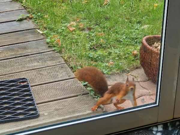 La canadienne : photo 5 de la chambre chambre double avec salle de bains privative