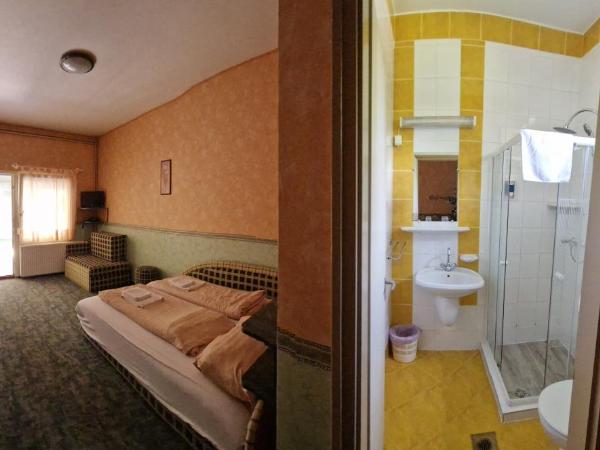 Piknik Wellness Hotel : photo 7 de la chambre chambre double ou lits jumeaux supérieure avec terrasse