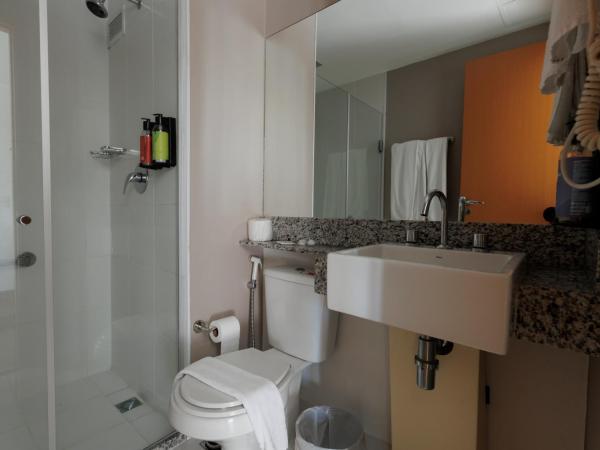 eSuites Belo Horizonte Minascasa : photo 7 de la chambre studio avec canapé-lit