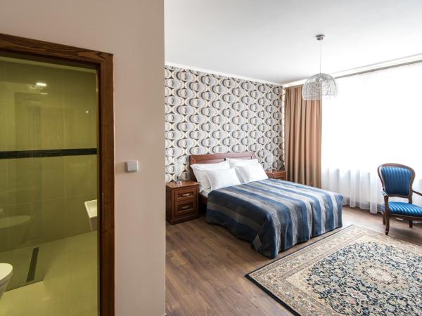 Penzion Janová : photo 1 de la chambre grande chambre double de luxe avec douche